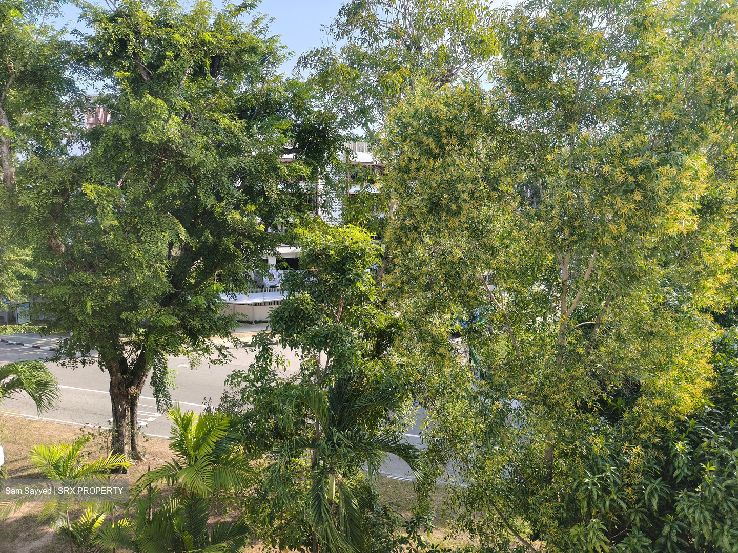 Eastwood Green (D16), Condominium #602885061